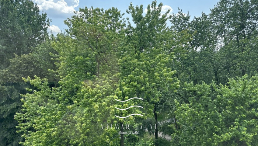 Mieszkanie Sprzedaż Warszawa Mokotów