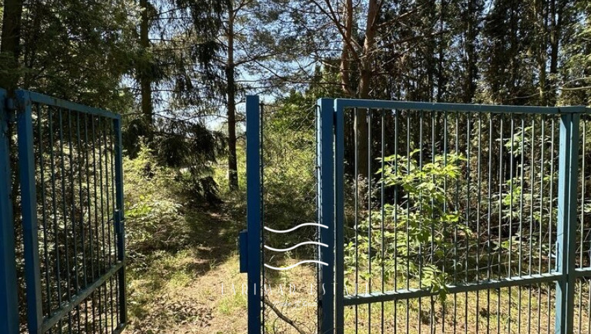 Działka Sprzedaż Kaliszki