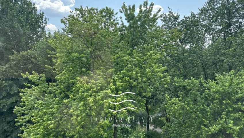 Mieszkanie Sprzedaż Warszawa Mokotów Belwederska